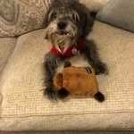 Deborah Scherrer - @deborah.scherrer - Instagram