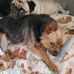 Debbie Schlenker - Facebook