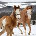 Debra Schley - Facebook