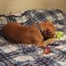 Deborah Schofield - Facebook