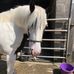 Deborah Schofield - Facebook