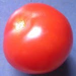 Deborah Schofield - @tomato_toast - Instagram