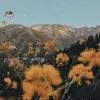 Deborah Schofield! - @its.just.debs - TikTok