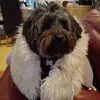 deborahschofield9 - @deborahschofield9 - TikTok