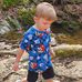 Debbie Ambrose Schumann - Facebook