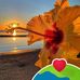 Debbie Schumann - Facebook