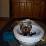 Debbie Seal - Facebook