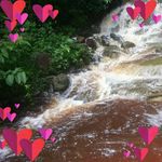 Deborah Sealey - @sealeydeborah - Instagram
