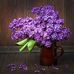 Deborah Seidner - Facebook