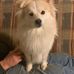 Deborah Severson - Facebook