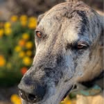Debra Severson - @debsev12 - Instagram