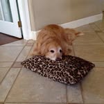 Debra Severson - @seversondebra - Instagram