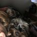 Deborah Sharp - Facebook