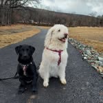 Deborah Shearer - @shearer.deborah - Instagram