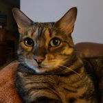 deborah - @deborahshearer356 - Instagram