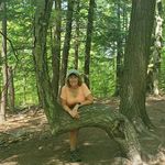 Debra Shearer - @debrashearer8062 - Instagram