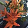 Deborah Sheppard836 - @deborahsheppardtiktok - TikTok