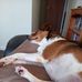 Deborah Sheppard - Facebook