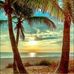 Deborah Sheppard - Facebook