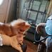 Deborah Shoup - Facebook