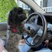 Deborah Sieracki Parker - Facebook