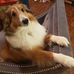 Deborah Sieradski - Facebook