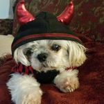 Deborah Silverman - @casper_silver_2055 - Instagram