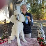 Deborah Simms Hardman - @debhardman1 - Instagram
