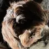 DeBoRahSimms - @deborahsimms6 - TikTok