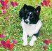 Debbie Six - Facebook