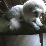 Debbie Skipper - @deborah5158.ds - Instagram
