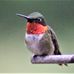 Deborah Perry Southern - Facebook