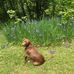 Deborah Southern - Facebook