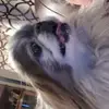 Dee dee - @deborahspears98 - TikTok