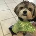 Deborah Stamm - Facebook