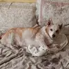 Deborah Stammler - @deborah.stammler - TikTok