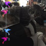 Deborah Tracy Lynn Stanford - @deborah_stanford48 - Instagram
