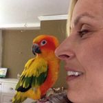 Deborah Stauffer - @deborah.stauffer - Instagram