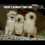 Deborah Steele - @deborah_steele_53 - Instagram