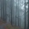 DeborahStepp8528 - @deborahstepp8528 - TikTok