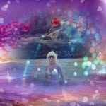 Debra Stetler - @dmstetler - Instagram
