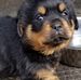 Debbie Stidham - Facebook
