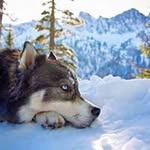 Debra Bushnell Stidham - @bushnellstidham - Instagram