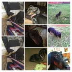 Deborah Stinson - @dstinson1954 - Instagram