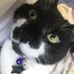 Deborah Stinson - Facebook