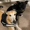 Deborah Stinson - @deborah.stinson0 - TikTok