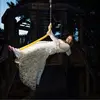 deborahstinson - @deborahstinson - TikTok