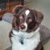 Debbie Stratton - Facebook