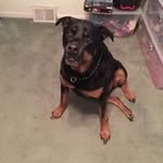 Deborah Cahill-Stratton - @mrsbonz06 - Instagram