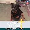 Deborah Cahill-Stratton - @deborah.cahillstr - TikTok